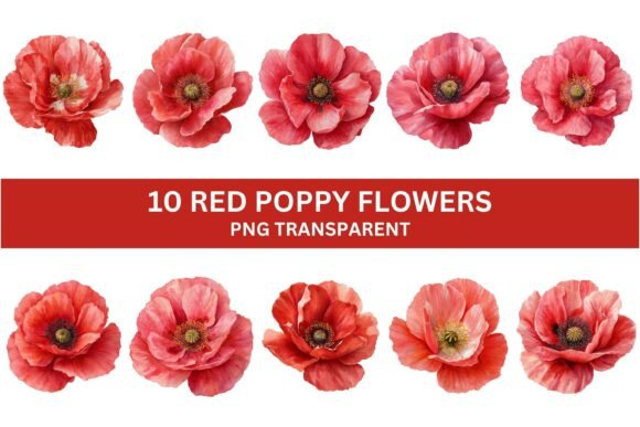 Download 10 Vibrant Red Poppy Flower PNG Set - Vibrant Collection